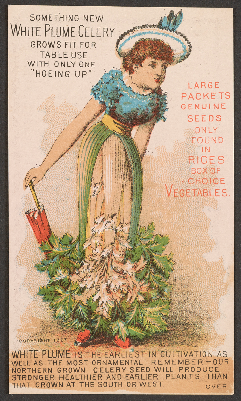 Courtesy the Smithsonian.